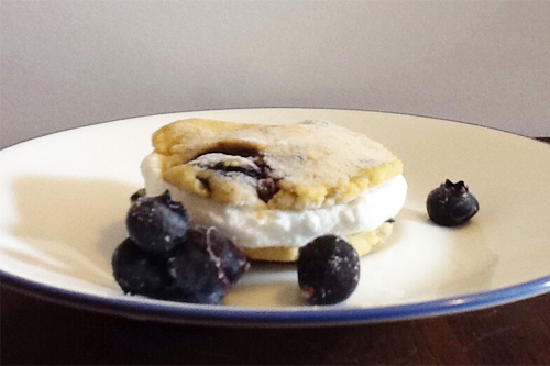 Blueberry Coconut Cream Ice Cream Sandwiches Recipe photo
