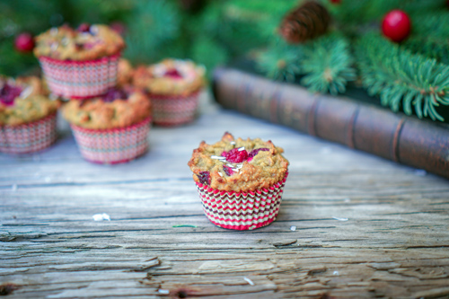 Holiday Cranberry Coconut Flour Muffins Photo