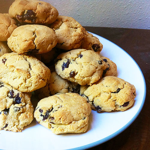 Gluten_Free_Cinnamon_Raisin_Coconut_Cookies