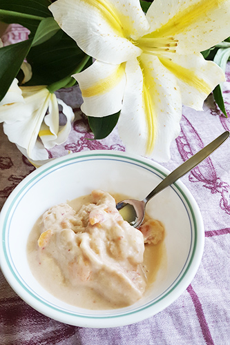 Honey_Peach_Coconut_Ice_Cream