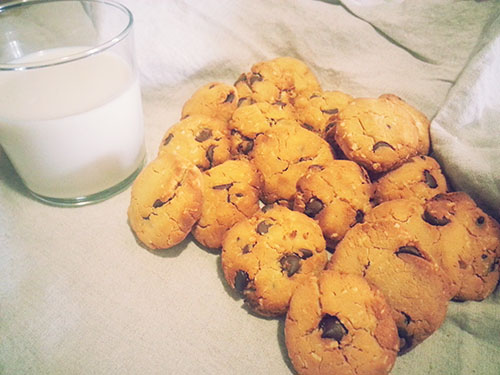 Gluten Free Coconut Flour Chocolate Chip Cookies