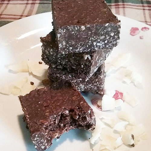 Chocolate Coconutty Bars